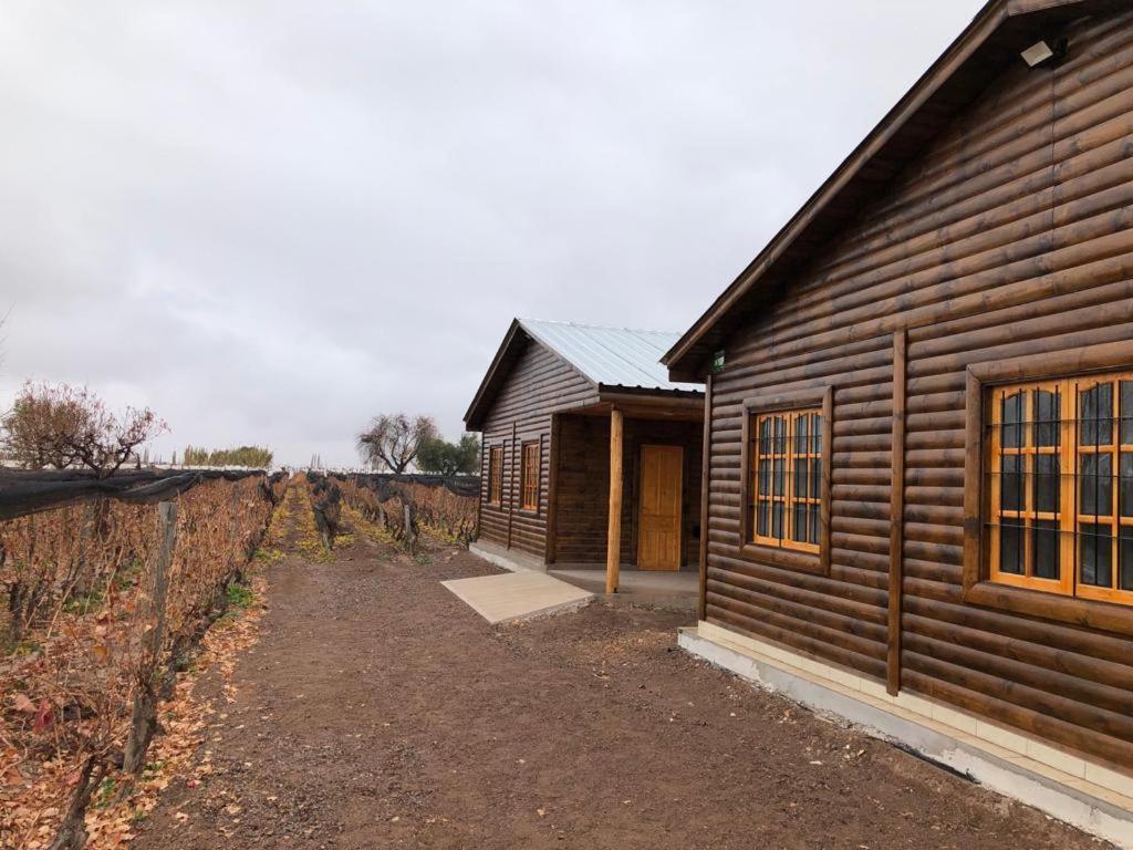 Ferienwohnung Entre Vinedos Lujan de Cuyo Exterior foto