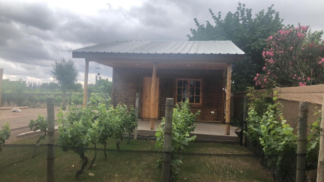 Ferienwohnung Entre Vinedos Lujan de Cuyo Exterior foto