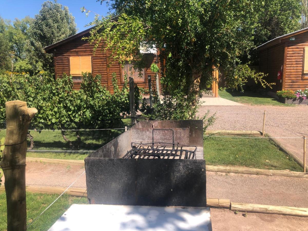 Ferienwohnung Entre Vinedos Lujan de Cuyo Exterior foto