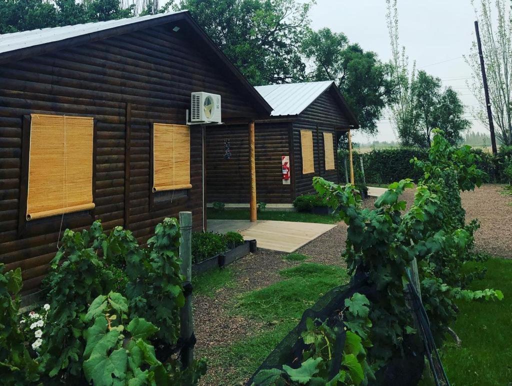 Ferienwohnung Entre Vinedos Lujan de Cuyo Exterior foto
