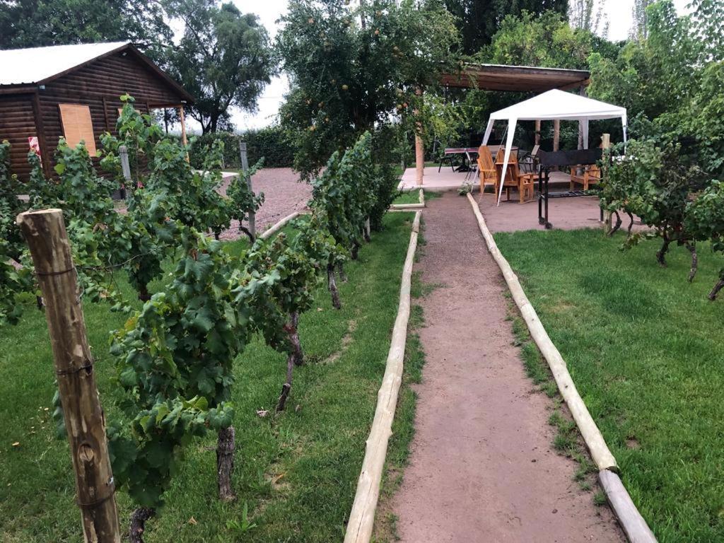 Ferienwohnung Entre Vinedos Lujan de Cuyo Exterior foto