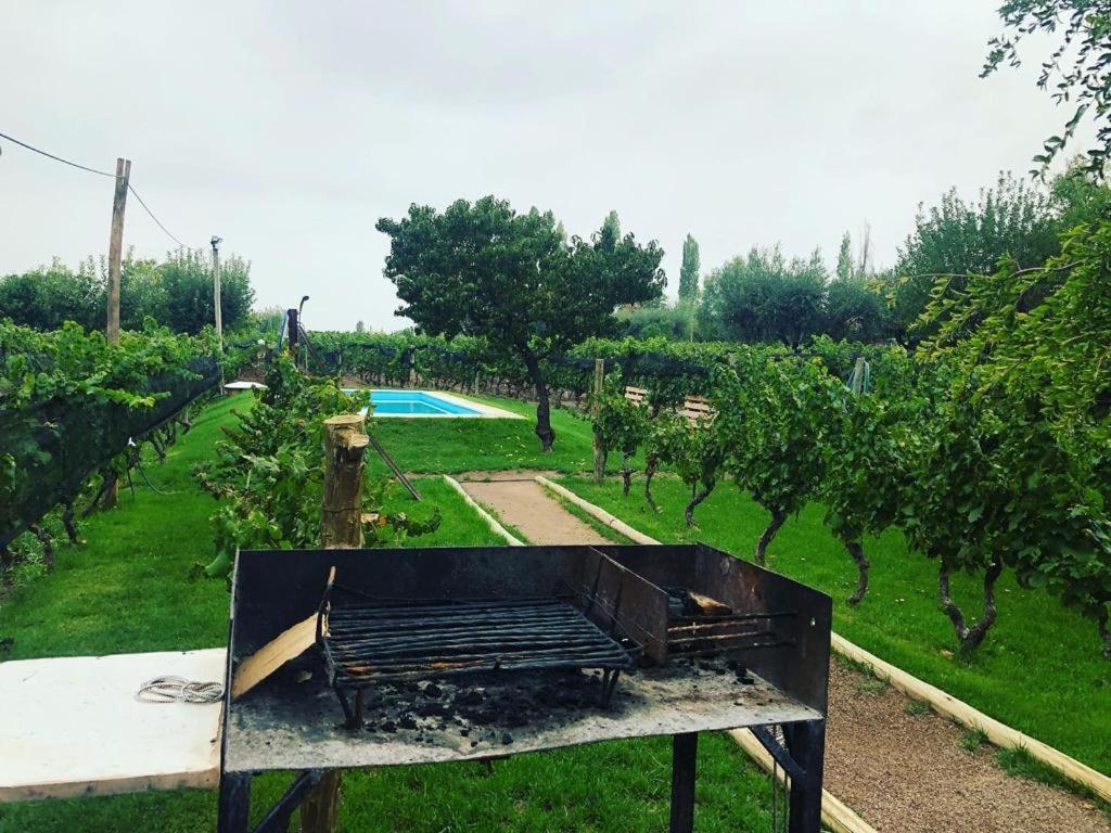 Ferienwohnung Entre Vinedos Lujan de Cuyo Exterior foto